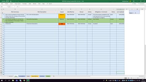 Basic Project Management RAID Log Tracker
