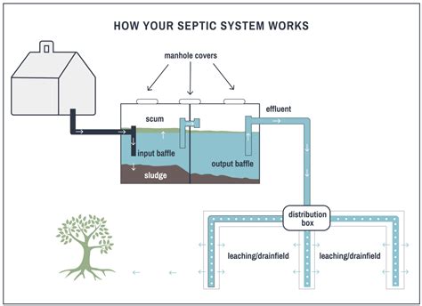 Basic Septic System Layout