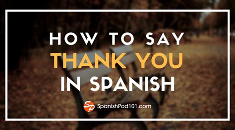 Basic Spanish Sentence Patterns You Can Use Right Away