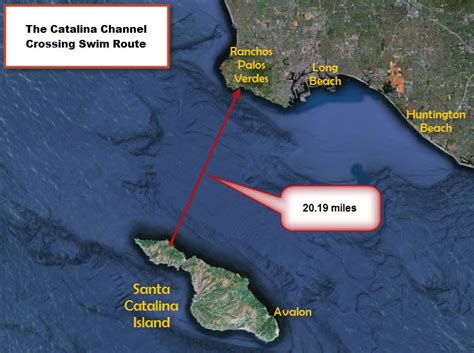 Basic Swim Information – Catalina Channel Swimming …