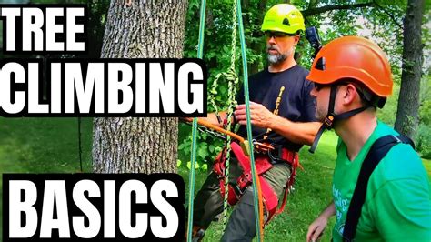 Basic Tree Climbing 01 YouTube. 