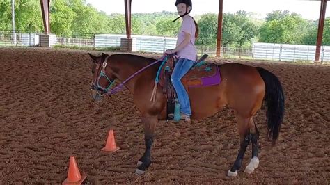 Basic Western Riding Pattern using a turn around box and cones YouTube