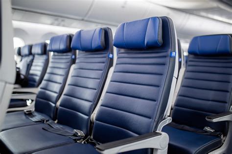 Basic economy vs main cabin. Apr 14, 2022 ... Unlike Main Cabin fares which get free checked baggage on many international routes, your options for getting free checked baggage are much more ... 