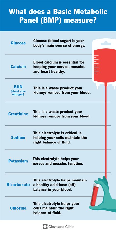 Basic metabolic panel BMP What to expect and results