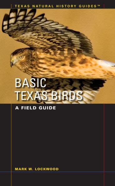 Basic texas birds a field guide. - Bildlampen römischer zeit aus der idäischen zeusgrotte auf kreta.