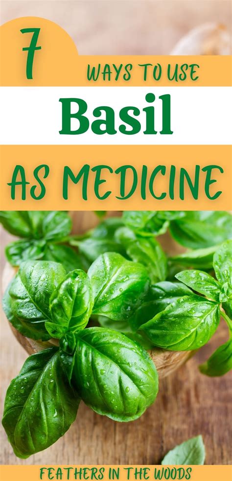 Basil uses