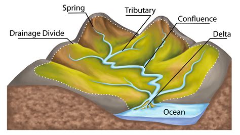 Basin of a river. A river’s drainage basin is defined as the area of land where precipitation collects and drains off, feeding the flow of rivers and their tributaries. Simply put, this is the process of water draining from higher points of land to lower laying areas–as demonstrated by the animation below. 
