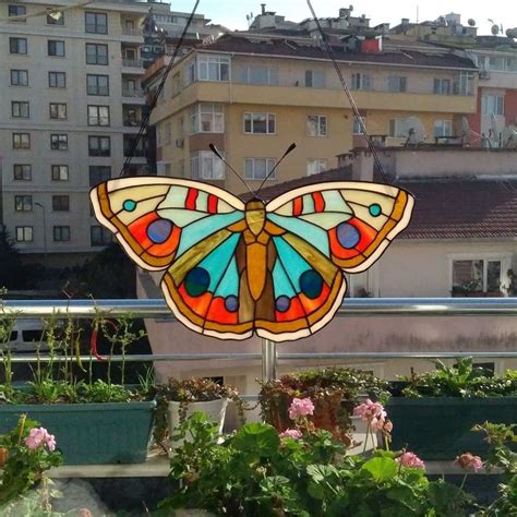 Basit Kelebek Vitray ia-.