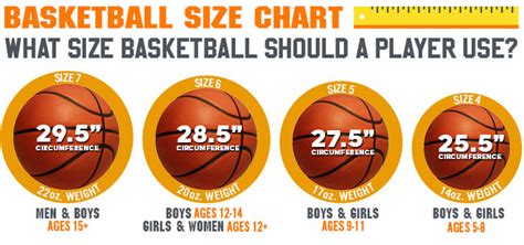 Basketball Sizes Chart: What Size Ball Should a Player …