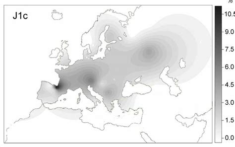 Haplogroup IJ is in turn derived from Haplogroup F. This Haplogroup is the key Haplogroup for all Semitic and Japethite people. The main current subgroups of J are J1 and J2, and between them account for almost all of the population of the Haplogroup. The Bible time-frame allows for an origin no earlier than 2200 BCE.