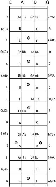 Bass Guitar Exercises For Dummies Cheat Sheet Dummies