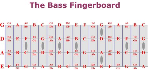 2024 Bass Guitar Fretboard Chart: A Beginner's Guide to Music Notation-marketplaceplus.shop