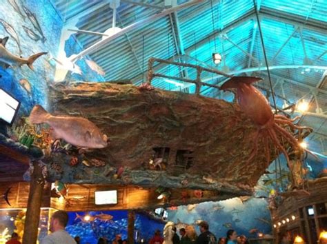 Bass Pro Shops - East Peoria, IL - Yelp