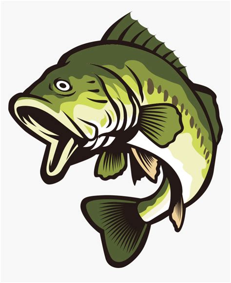 Bass fish clip art. Things To Know About Bass fish clip art. 