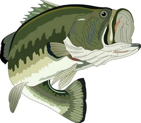 - 4,555 royalty free vector graphics and clipart matching Bass Fish 1 of 46 Sponsored Vectors Click here to save 15% on all subscriptions and packs Related Searches fish …. Bass fish clip art