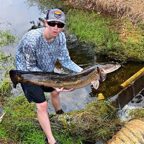 Bass fishing productions. Bass fishing Productions, Calgary, Alberta. 15,394 likes · 3,145 talking about this. Welcome My name is Bobby and I specialize in catching the coolest and rarest fish in south Florida. 