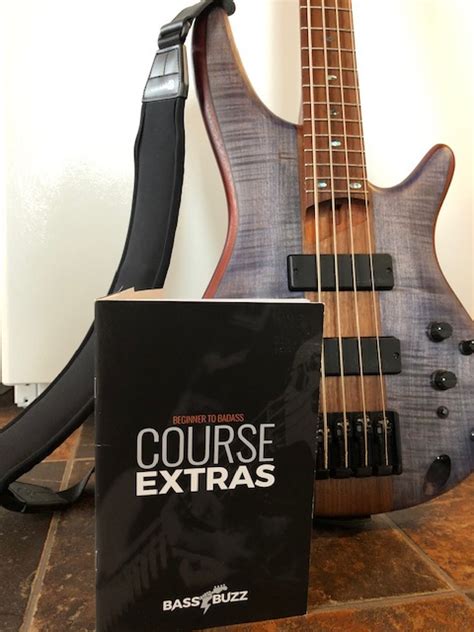 Bassbuzz. Jul 28, 2019 · The 304 is certainly a great bass, loved mine. The pickups on the 504/604 are definitely better (not that the 304 is bad, but that the 5/604 are really good.) Having a midrange knob instead of the presets, and an active/passive switch, are the biggest differences. Those were important to me. If they aren’t for you, then the 304 will be a ... 