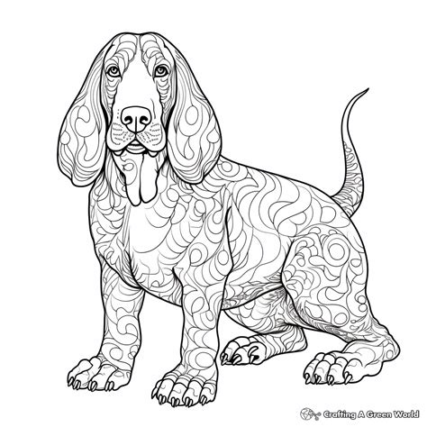 Coloring Pages For Adults Star Wars