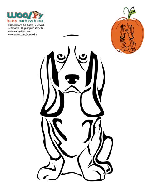 Basset hound pumpkin carving template. family. The Basset's long, heavy body and short legs make this breed easy to follow on foot, and give it an edge in dense cover. The Basset Hound has heavier bone, in proportion to total size, than any other breed. This dog's thick, tight coat protects from brambles without becoming caught in them. 