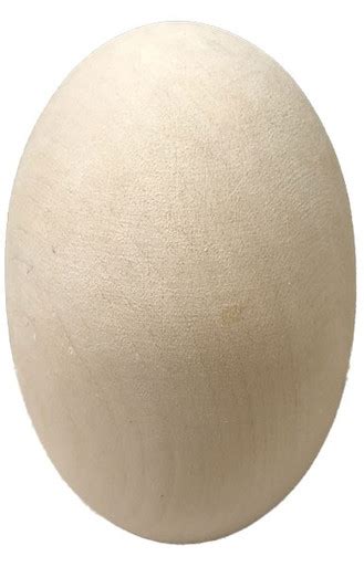 Basswood Eggs - TreelineUSA