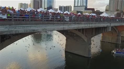 Bat Fest returns to Austin for 17th annual event