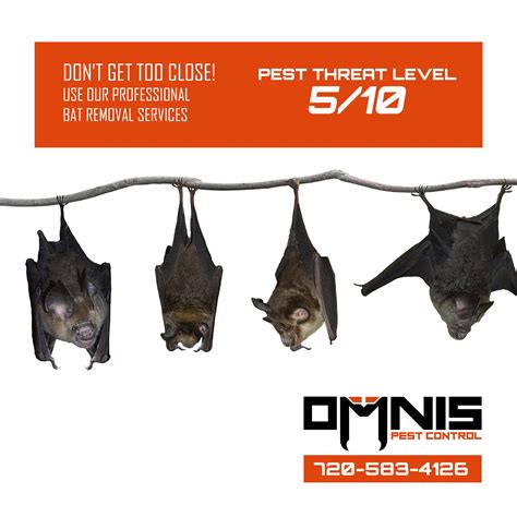 Bat pest control. Through IPM, pest control materials are selected and applied in a manner that minimizes risks to human health, pets, and the environment. Call Viking today for your FREE and NO OBLIGATION estimate at 1-800-618-2847 or Schedule Online today! The best way to get rid of bats, when they have wandered into your … 
