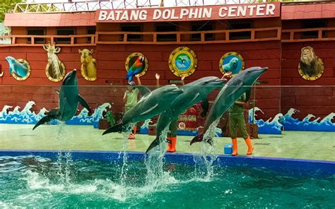 Batang Dolphin Centre - Facebook