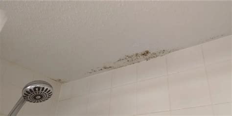 Bathroom ceiling mold. Using a 3% hydrogen peroxide solution, transfer it to a spray bottle and apply it to the moldy surfaces. Leave the hydrogen peroxide solution undisturbed for 10 to15 minutes, letting it work its magic to eliminate the mold. Once it has effectively neutralized the mold, use a brush or cloth to scrub away the remnants. 
