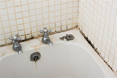 Bathroom mold. Mix bleach and warm water in a 1:1 ratio and pour it into a spray bottle. Spray the surface of the shower with the solution and allow it to sit for several minutes (10 minutes is usually enough). After 10 minutes, scrub the surface with the bristle brush and repeat the process again to ensure all the bacteria is gone. 
