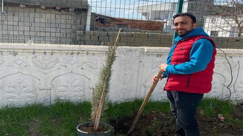 Batman Merkez Balpinar Beldesi Segirkan Mahallesi terapi halı yıkama