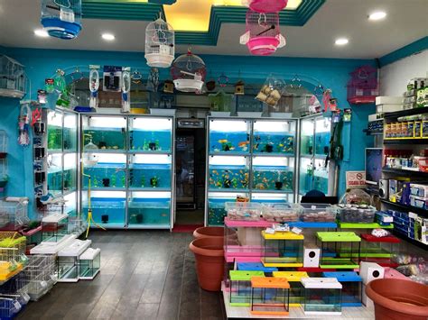 leosephi.rgarabwor.edu.pl. 