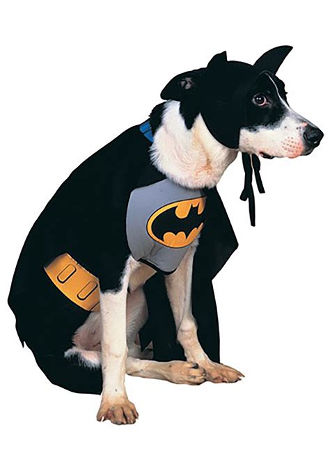 Nov 22, 2022 · This dog costume is a must-have for all Batman fans, DC Comics fans, Superhero fans, and their pets. This Batman dog outfit is part of a line of DC Comics dog costumes that are great for Halloween or all year-round play time. Let your dog be Gotham’s superhero as you dress them up in the Batman costume for dogs. . Batman outfit for dogs