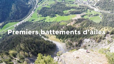 Battements d'ailes