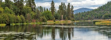 Baum Lake - Nor Cal