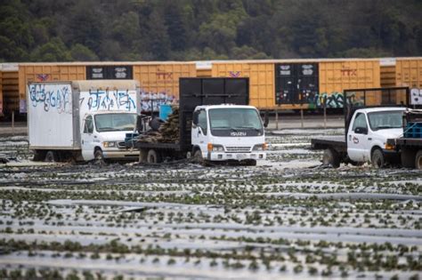 Bay Area lawmakers push feds for disaster recovery package for California farmers