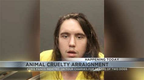 Bay Area man accused of killing roommate, dog