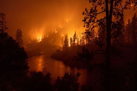 Bay Area scientist says he ‘left out the full truth’ to get climate change wildfire study published in prestigious journal