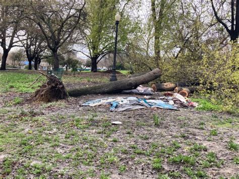 Bay Area storm: Falling tree kills man in Oakland