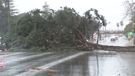 Bay Area storm updates: High wind downs trees, disrupts traffic