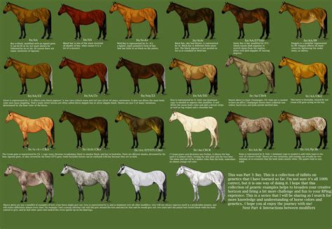 Bay Color Chart for horses by MagicWindsStables on deviantART Charts