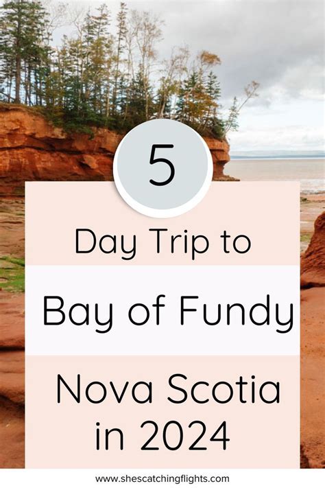 Bay of Fundy to Halifax - 8 ways to travel via train, plane, …