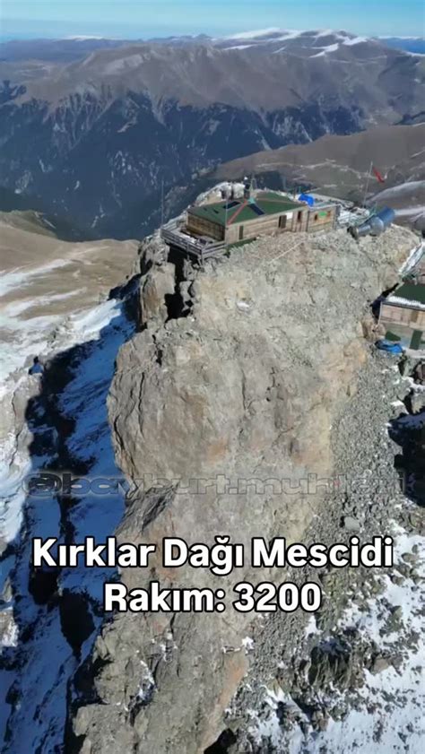 Bayburt En Yakin terapi halı yıkama