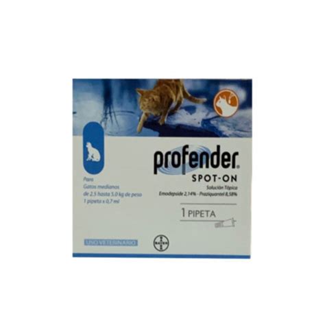 veodersti.rgarabwor.edu.pl. 