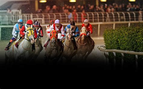 codini.rgarabwor.edu.pl. 