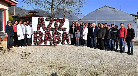 Bayindirli Halı ve Koltuk Yıkama