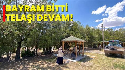 codini.rgarabwor.edu.pl. 