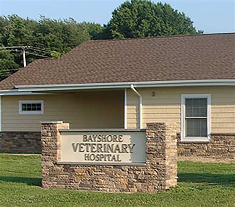 Bayshore animal clinic. Things To Know About Bayshore animal clinic. 