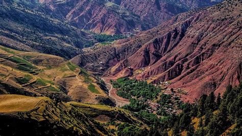 Baysun Halı ve Koltuk Yıkama