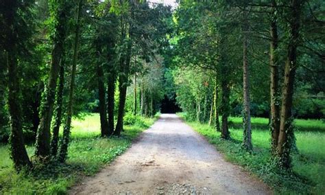 Bazosu nou maps.  Visit top-rated & must-see attractions.  Bazosu Nou (Bazosunou) - Jud...