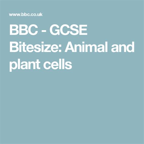 Bbc bitesize ks4 science bitesize